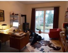 Helles Arbeitszimmer mit einem großen Holzschreibtisch, einem modernen Kaminofen und einer Glastür mit Blick auf einen Garten. Im Raum stehen ein roter Sessel, ein Regal, ein Fernseher und ein Teppich mit Kuhflecken-Muster, auf dem zwei schwarze Hunde liegen.