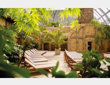 Innenbereich eines tropischen Wellnessbereichs mit Liegestühlen in Reihen auf einer gepflasterten Fläche. Im Hintergrund ist eine große Steinwand mit plastischen Ornamenten und Pflanzen, umgeben von einem gläsernen Kuppeldach.