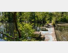 Ein bewachsener Teich in einer Waldlandschaft mit einer schmalen, teils beschädigten Betonplattform, die entlang des Wassers verläuft. Die Umgebung ist von dichtem Grün und Bäumen gesäumt, die sich im Wasser spiegeln.