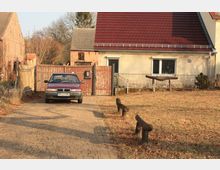 Einfamilienhaus in ländlicher Umgebung mit beiger Fassade und rotem Ziegeldach, davor ein geparkter roter PKW auf einem gepflasterten Weg sowie eine teilweise mit Laub bedeckte Wiese mit einfachen Holzbänken. Links steht ein hölzernes Tor, das zu einem Grundstück mit weiteren Backsteingebäuden führt.