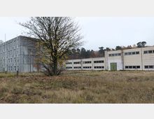 Eine Ansammlung von schlichten, mehrstöckigen und einstöckigen Betongebäuden mit rechteckigen Fenstern, umgeben von Grasflächen und einem Baum mit herbstlichem Laub im Vordergrund. Im Hintergrund sind vereinzelte Bäume vor einem bewölkten Himmel zu sehen.