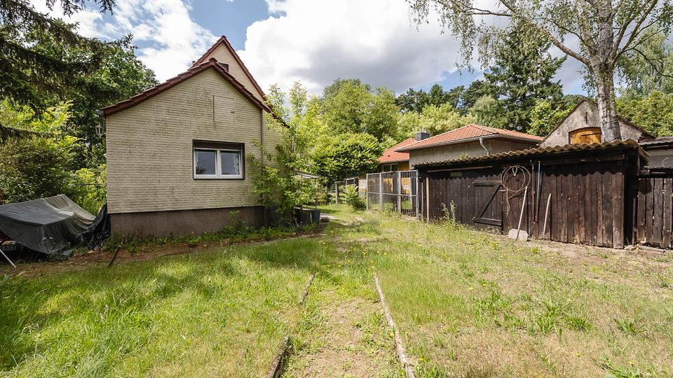 Hinterhof mit grasbewachsener Fläche und schmalem Weg zwischen einem kleinen Haus mit Satteldach und mehreren Holzschuppen. Umgeben von Bäumen und Sträuchern, mit Zäunen und Geräten an der Schuppenwand.