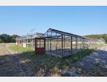 Reihe verlassener Gewächshäuser mit Glasdächern und Metallrahmen auf einem grasbewachsenen Gelände, umgeben von Bäumen und unter klarem Himmel. Im Vordergrund steht ein teilweise offenes Gewächshaus mit einer roten Tür.