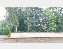 Eine verwitterte, weiße Backsteinmauer steht vor einer dichten Baumreihe mit verschiedenen Laub- und Nadelbäumen. Im Vordergrund befindet sich ein asphaltierter Platz mit vereinzeltem Bewuchs von Gras und Moos.