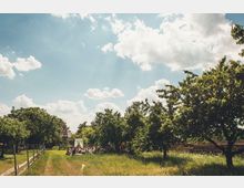 Eine Wiese mit hohen Gräsern, gesäumt von Obstbäumen; im Hintergrund ist eine kleine Versammlung von Menschen unter einem weißen Baldachin zu sehen, umgeben von ländlichen Gebäuden unter einem sonnigen Himmel mit vereinzelten Wolken.