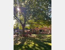 Ein grüner Garten mit einem großen schattenspendenden Baum, im Hintergrund ein Backsteingebäude mit schwarzen Türen und Fenstern. Unter dem Baum stehen Tische und Stühle sowie Töpfe mit Pflanzen.