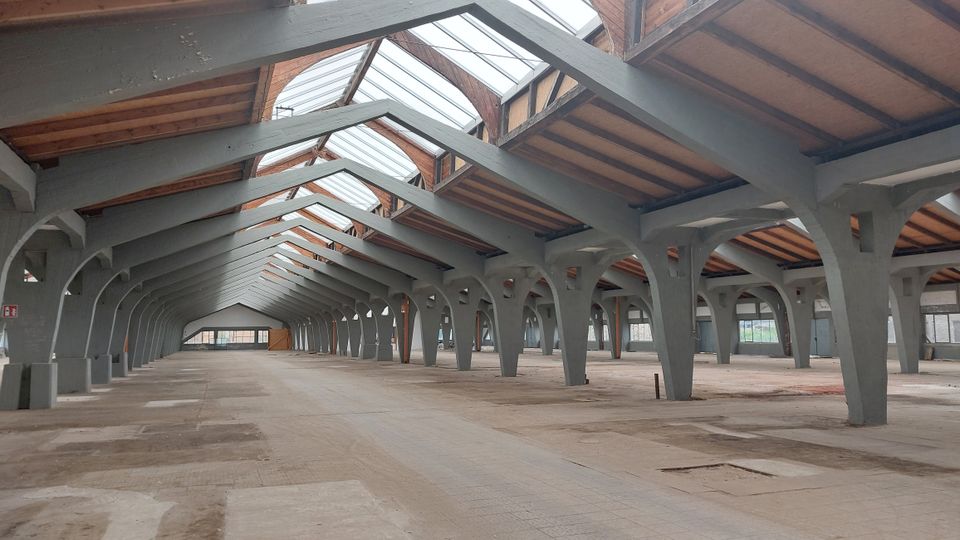 Weitläufige Industriehalle mit einer Dachkonstruktion aus grauen Stahlbalken und Holz. Das Gebäude verfügt über große, lichtdurchlässige Oberlichter und sichtbare Betonstützen, die entlang der Halle in regelmäßigen Abständen angeordnet sind.