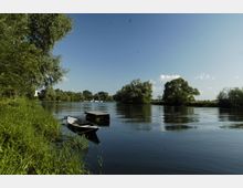 Flusslandschaft mit ruhigem Wasser, umgeben von üppigem Grün und Bäumen; im Vordergrund ein kleines Holzboot neben einem schmalen Steg, am Ufer wachsen dichte Gräser.