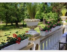Ein dekorativer Balkon mit weißen Balustraden, geschmückt mit Blumenkästen voller roter und rosa Blüten sowie großen Steinvasen mit Ziergräsern; im Hintergrund ein grüner Garten mit Bäumen.