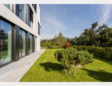 Moderne Gebäudeaußenfassade mit großen Glasfenstern und schwarzen Rahmen, angrenzend an eine gepflegte Rasenfläche mit kleinen Bäumen und Sträuchern; im Hintergrund dichter Baumbestand unter klarem Himmel.