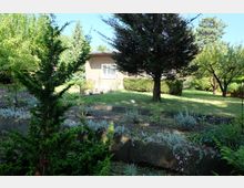 Gartenanlage mit Rasenfläche, mehreren Nadel- und Laubbäumen sowie Beeten auf einer terrassierten Böschung mit niedriger Betonstützmauer. Im Hintergrund steht ein eingeschossiges Wohnhaus mit flachem Dach und Fensterfront, umgeben von Sträuchern.