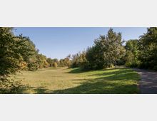 Weite, grüne Parklandschaft mit einer offenen Wiese, umgeben von dichtem Baumbewuchs. Rechts im Bild verläuft ein asphaltierter Weg, der durch den Park führt, unter klarem, blauem Himmel.