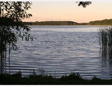 Ein See mit stiller Wasseroberfläche bei Sonnenuntergang, umgeben von Bäumen und Schilf am Ufer. Im Hintergrund sind bewaldete Uferbereiche sichtbar.