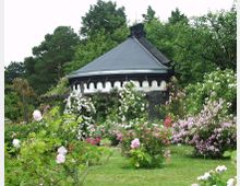 Ein Rundgebäude mit einem schwarzen Schieferdach und einer weißen Fassade, umgeben von einem üppigen Rosengarten mit blühenden Sträuchern in verschiedenen Farben. Im Hintergrund sind hohe Bäume und ein bewölkter Himmel zu sehen.