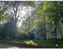 Mehrstöckiges Wohngebäude mit hellen Fassaden und roten Balkonen, teilweise von hohen Bäumen und dichtem Grün verdeckt. Im Vordergrund verlaufen ein Gehweg und eine niedrige Mauer; rechts steht ein grüner Hydrant mit der Nummer 58.