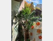 Eine Balkon-Szene mit einer künstlichen Palme und weiteren Pflanzen, umgeben von einer Wand mit tropischem Wandbild und einem Sichtschutz mit orangefarbenen Blumenmustern. Im Hintergrund sind herbstliche Bäume und ein Wohngebäude zu sehen.