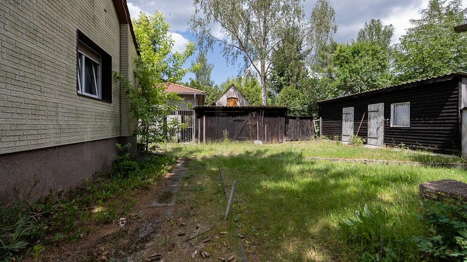 Hinterhof mit überwachsenem Rasen und schmalem Weg neben einem hellen Ziegelhaus; im Hintergrund stehen dunkle Holzschuppen mit Toren und Türen. Hohe Bäume und dichtes Grün umgeben das Grundstück unter einem teils bewölkten Himmel.