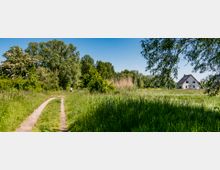 Ländliche Landschaft mit einem schmalen, unbefestigten Weg, der durch hohe Wiesen und dichter Bewuchs mit Bäumen und Sträuchern führt. Im Hintergrund steht ein kleines weißes Haus mit schwarzem Dach, umgeben von freier Natur.