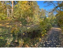 Ein herbstlicher Waldweg mit Laub bedecktem Boden, umgeben von dichtem Grün und Bäumen mit gelb-goldenen Blättern. Links im Bild befindet sich ein kleiner Zaun und eine Holzkonstruktion im Hintergrund.