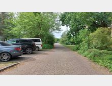 Pflasterweg mit parkenden Autos auf der linken Seite und dichtem Grün aus Bäumen und Büschen auf beiden Seiten. Im Hintergrund führt der Weg in eine offene, von Vegetation umgebene Fläche.