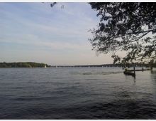 Seelandschaft mit ruhigem, weitläufigem Wasser, Segelbooten in der Ferne und einer bewachsenen Uferlinie im Hintergrund; im Vordergrund ragen Äste eines Baumes und ein kleiner Holzsteg ins Bild.