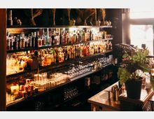 Innenansicht einer Bar mit langen, beleuchteten Regalen voller Spirituosenflaschen und gestapelten Gläsern vor einer dunklen Wand. Rechts steht ein Tresen mit Metallarbeitsfläche neben einem großen Fenster und einer Topfpflanze.