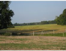 Weite Wiesenlandschaft mit gestutztem Gras, umgeben von Bäumen am Horizont. Im Vordergrund befindet sich ein einfacher Holzzaun, der die Fläche teilweise abgrenzt, sowie sandiger Boden und grüne Vegetation.