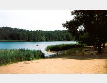 Sandstrand an einem See mit umliegendem Schilf und einer Baumreihe im Hintergrund. Einige Personen nutzen den Strand und das Wasser, während im See ein kleines Boot zu sehen ist.