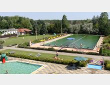 Eine Freibadanlage mit mehreren Becken, darunter ein großes Schwimmbecken mit grünem Wasser und ein kleines Kinderbecken mit einer roten Rutsche in Form eines Frosches. Umgeben von Liegewiesen, gelben Liegen, Bäumen und einem angrenzenden Gebäude mit roten Dächern.