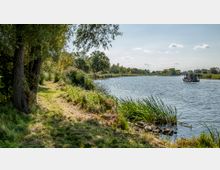 Uferlandschaft mit einem schmalen grasbewachsenen Pfad, gesäumt von Bäumen und Büschen, die an einen ruhigen Fluss grenzen; eine kleine Fähre ist auf dem Wasser im Hintergrund zu sehen.