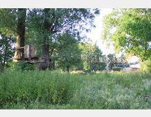 Baumhaus aus Holz in einem großen Baum, verbunden mit einer einfachen Hängebrücke, umgeben von dichtem, hohem Gras und anderen Bäumen in einer ländlichen Umgebung. Im Hintergrund sind vereinzelt Gebäude sichtbar.