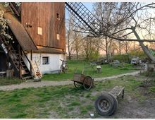 Außenbereich einer alten Holz-Windmühle mit weißen Mauern im unteren Bereich. Im Vordergrund befinden sich eine Holzkarre, ein alter Reifen, eine Holzbank sowie ein Kiesweg. Dahinter sichtbar: Fahrräder, Bäume und ein Garten mit einzelnen Möbeln und Gegenständen.