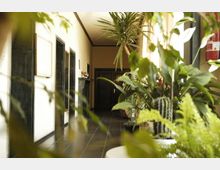 Ein Innenraum mit einem schmalen Flur, dessen Boden mit dunklen Fliesen bedeckt ist. Entlang des Flurs stehen zahlreiche grüne Pflanzen in Töpfen, und am Ende befindet sich eine dunkle Holztür.