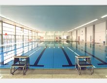 Helles Hallenbad mit einem großen, rechteckigen Schwimmbecken, das durch schwarze Bahnenmarkierungen unterteilt ist. Die Umgebung besteht aus weißen Wänden, breiten Fenstern auf der linken Seite und einer hellen Deckenbeleuchtung.