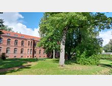 Rotes Backsteingebäude mit mehreren Reihen von rechteckigen Fenstern und einem roten Ziegeldach, umgeben von einer Grünfläche mit großen Bäumen, Büschen und einer Parkbank im Vordergrund. Der Himmel ist leicht bewölkt, und die Szene wirkt hell und sonnig.