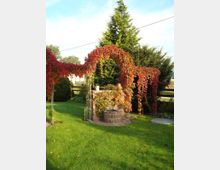 Ein Garten mit einem kleinen, runden Brunnen aus Stein in der Mitte, umgeben von einem Metallbogen, der mit roten Kletterpflanzen bewachsen ist. Im Hintergrund stehen hohe immergrüne Bäume, und der Garten wird von einer Rasenfläche und weiteren Pflanzen abgeschlossen.