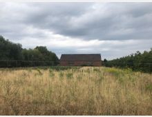 Eine rote Backstein-Scheune mit dunklem Dach steht auf einem von hohem, gelbem Gras bewachsenen Feld, umgeben von Bäumen und einem Drahtzaun im Vordergrund unter einem bewölkten Himmel.
