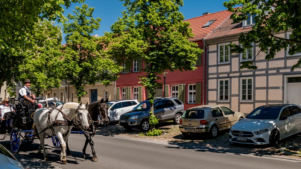 Von Bäumen gesäumte Kopfsteinpflasterstraße mit parkenden Autos vor farbigen Altstadthäusern, darunter ein Fachwerkhaus mit roten Ziegeldächern. Im Vordergrund fährt eine Pferdekutsche auf der Straße entlang.