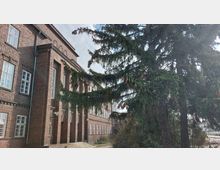 Ziegelgebäude mit großen, weißen Fenstern und Säulen entlang der Fassade; im Vordergrund stehen hohe Nadelbäume mit Zapfen.