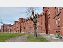 Backstein-Gebäudekomplex im neogotischen Stil mit zahlreichen Rundbogenfenstern und dekorativen Zinnen; im Vordergrund Rasenflächen, ein Kiesweg und Bäume ohne Laub.