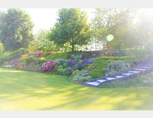 Ein gepflegter Garten mit einer großen Rasenfläche im Vordergrund, einer bepflanzten Böschung mit bunten Blumen und Sträuchern sowie mehreren Bäumen im Hintergrund. Auf der rechten Seite führt eine Treppe aus Steinplatten durch die Böschung nach oben.
