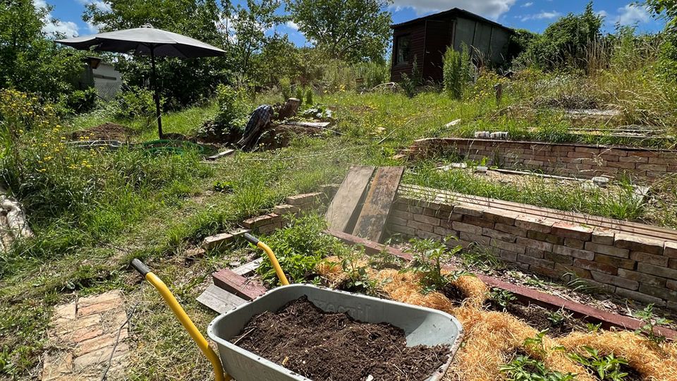 Verwilderter Garten mit Hochbeeten aus Ziegeln und einem Schubkarren voller Erde im Vordergrund, daneben ein teils überwucherter Ziegelweg. Im Hintergrund stehen ein Sonnenschirm, Bäume und eine kleine Gartenhütte unter einem Himmel mit großen Wolken.