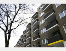 Mehrstöckiges Wohngebäude mit dunkelgrauer Fassade und schwarzen Balkonen, die mit weißen und gelben Akzenten versehen sind, daneben ein unbelaubter Baum vor bewölktem Himmel.