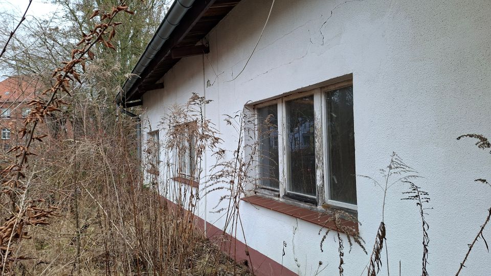 Seitenansicht eines älteren, weiß verputzten Gebäudes mit Dachrinne und mehreren rechteckigen Fenstern mit verwitterten Rahmen. Dichtes, trockenes Gestrüpp und hohe Gräser wachsen entlang der Fassade; im Hintergrund sind Bäume und ein weiteres Haus zu sehen.