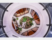 Blick von oben in einen runden Innenhof mit einer bepflanzten Grünfläche in der Mitte, umgeben von weißen Wänden und Glasabschnitten. Die Umgebung zeigt eine moderne Innenarchitektur mit einem Fokus auf Pflanzen und natürlichen Elementen.