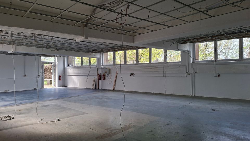 Leere Industrie- oder Werkstatthalle mit freiliegendem Raster der abgehängten Decke und herabhängenden Kabeln. Entlang der Wand befinden sich lange Fensterbänder mit Blick ins Grüne, ein offener Ausgang sowie weiße Wände und ein grauer Betonboden.