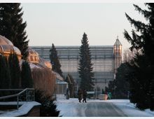 Großes Gewächshaus aus Glas und Metall in einer winterlichen Parklandschaft, flankiert von Tannenbäumen und verschneiten Wegen, mit zwei Personen, die über den Gehweg gehen.