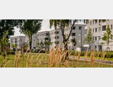Moderne Wohngebäude mit hellen Fassaden und mehreren Etagen, umgeben von Bäumen und Rasenflächen. Im Vordergrund ein Fuß- und Radweg sowie vereinzelte Pflanzen, die die Wohnanlage in einer grünen Umgebung einbetten.