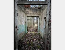 Ein verlassenes und teilweise eingestürztes Gebäude mit sichtbaren Betonwänden, die mit verblasster grüner Farbe gestrichen sind. Der Boden ist mit Laub und Moos bedeckt, durch die Türöffnung ist ein Wald mit Bäumen sichtbar.
