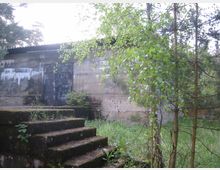 Ein verlassener, einstöckiger Betonbau mit einer verwitterten Metalltür, umgeben von dichten Bäumen und Vegetation. Im Vordergrund führt eine mit Moos bewachsene Steintreppe zum Gebäude.